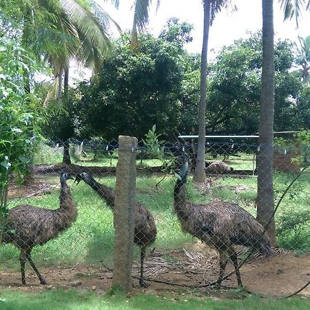 Mango Village Farm House Nelliyampathy Εξωτερικό φωτογραφία