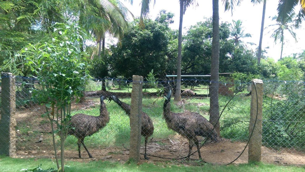 Mango Village Farm House Nelliyampathy Εξωτερικό φωτογραφία